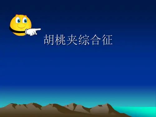 胡桃夹综合征幻灯PPT课件