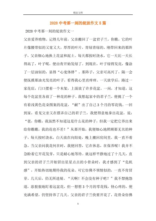 2020中考那一刻的绽放作文5篇