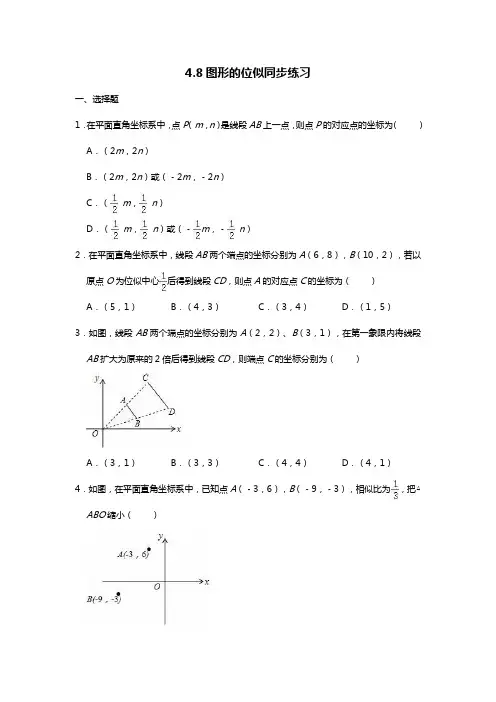 4.8图形的位似同步练习 2021-2022学年北师大版数学九年级上册