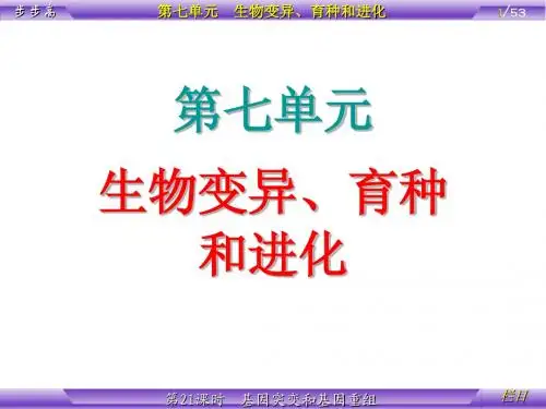 第7单元 生物变异、育种和进化 第21课时 基因突变和基因重组
