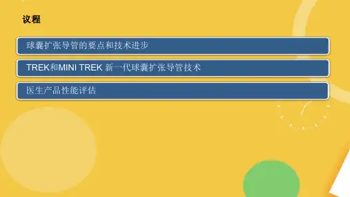 球囊扩展导管TERKPPT学习课件.完整资料PPT