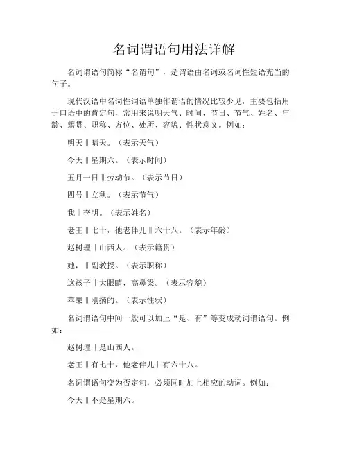 名词谓语句用法详解