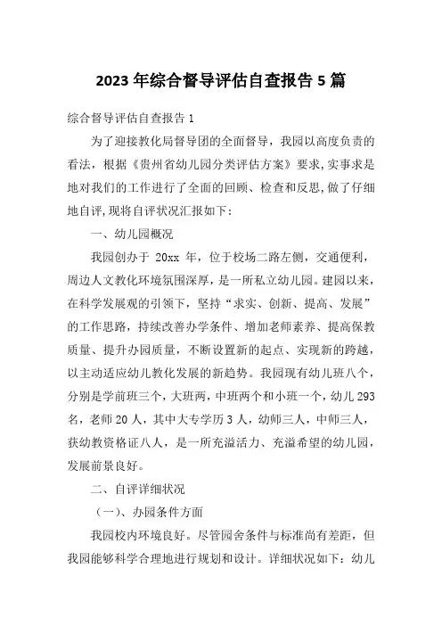 2023年综合督导评估自查报告5篇
