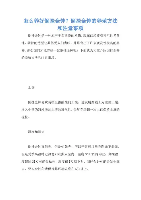 怎么养好倒挂金钟？倒挂金钟的养殖方法和注意事项