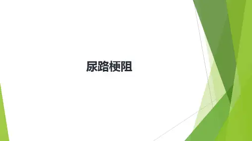 尿路梗阻 
