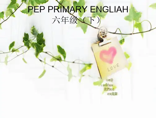 pep六年级下册英语知识树