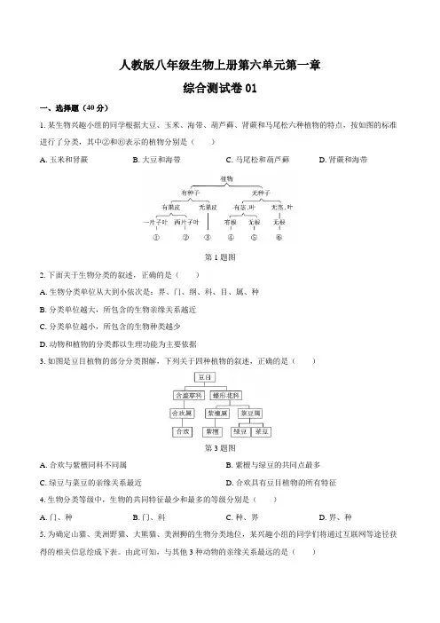 人教版八年级生物上册第六单元第一章《根据生物的特征进行分类》综合测试卷01含答案