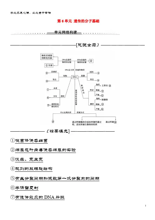 生物一轮复习第6单元遗传的分子基础单元网络构建学案