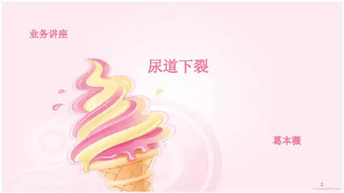 尿道下裂PPT课件