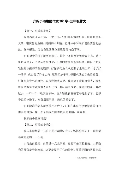 介绍小动物的作文300字-三年级作文
