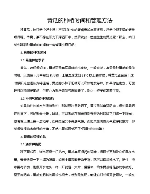 黄瓜的种植时间和管理方法