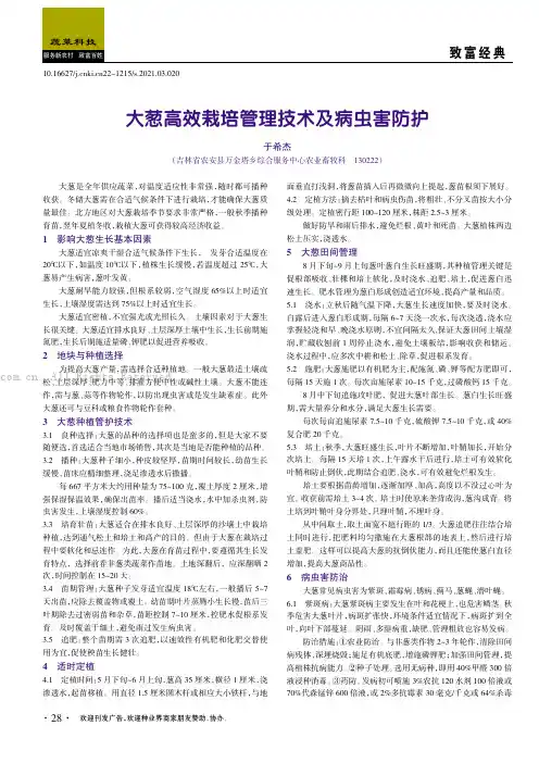 大葱高效栽培管理技术及病害防治