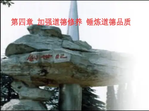 思修第四章课件
