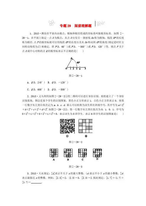2019年中考数学专题复习小练习专题29阅读理解题