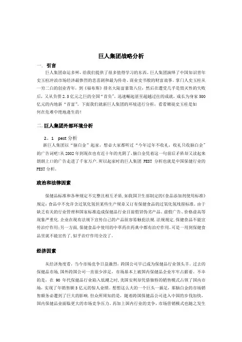 巨人集团战略分析