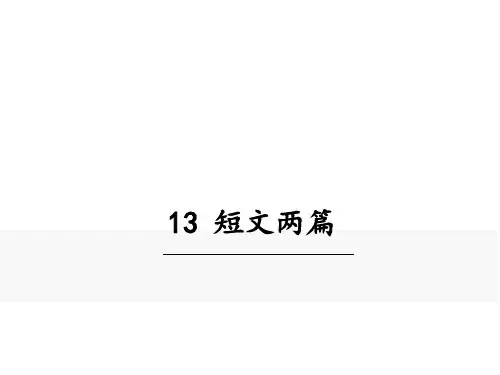 统编人教版语文九年级下册13.短文两篇(谈读书、不求甚解)