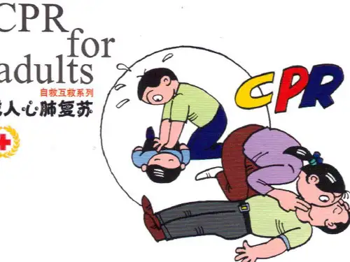 基础生命支持BLSppt课件