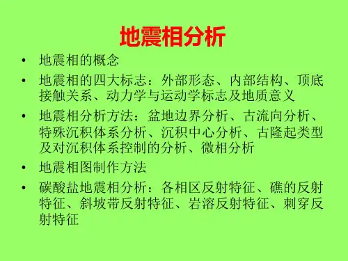 地震相分析