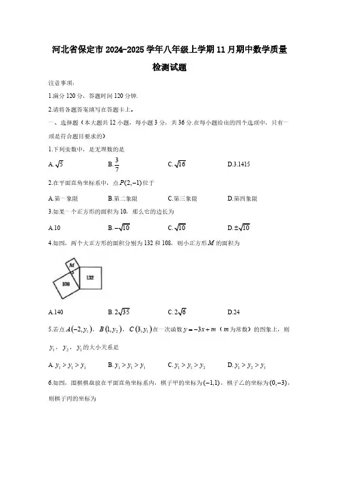 河北省保定市2024-2025学年八年级上学期11月期中数学质量检测试题(含答案)