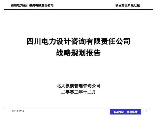 四川某公司战略规划报告(ppt 149页)
