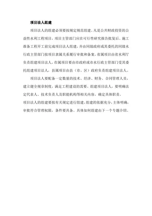 项目法人组建
