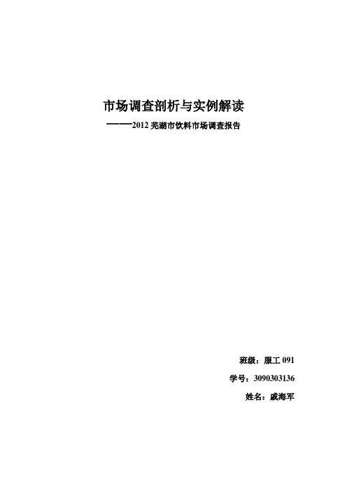市场调查剖析与实例解读