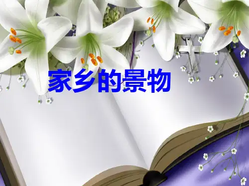 习作《家乡的景物》