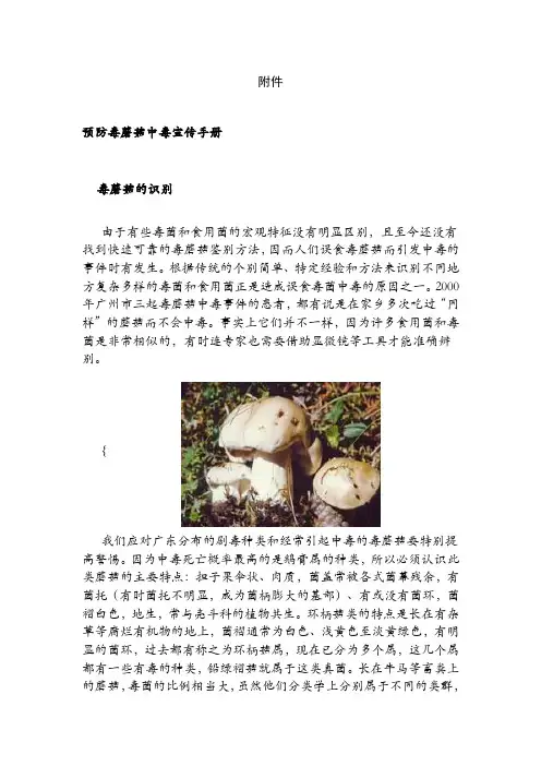 预防毒蘑菇中毒宣传手册
