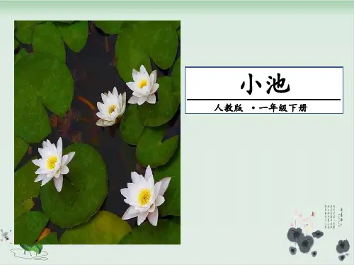 部编版小池优质课件-PPT1
