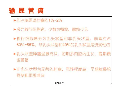 输尿管癌  ppt课件