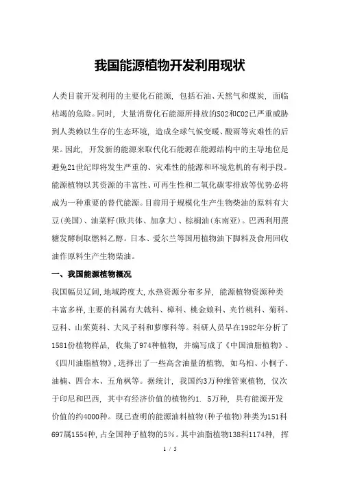 我国能源植物开发利用现状