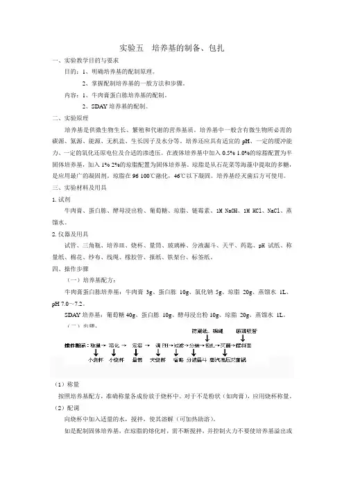 实验五%20培养基的制备、包扎