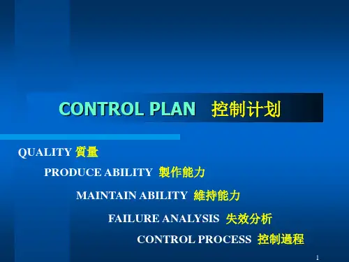 control plan (控制计划)