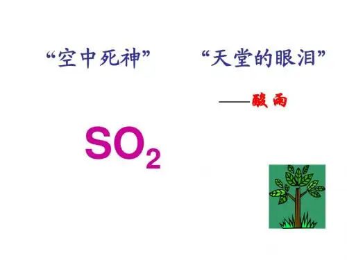 第一课：二氧化硫的性质和应用