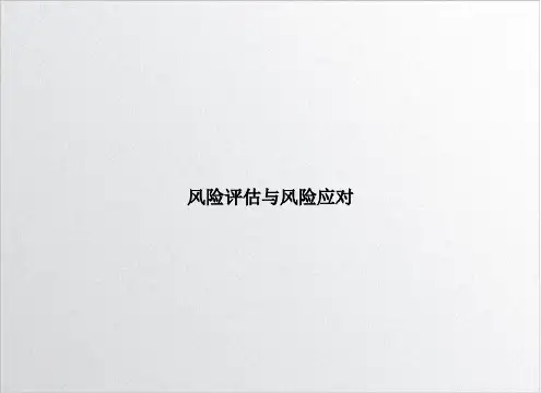 风险评估与风险应对PPT课件