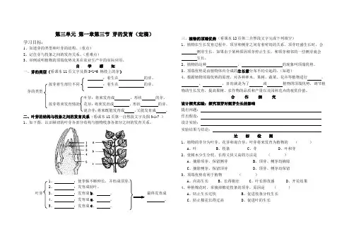 《第三节 芽的发育》教学设计2-冀少儿版生物八年级上册