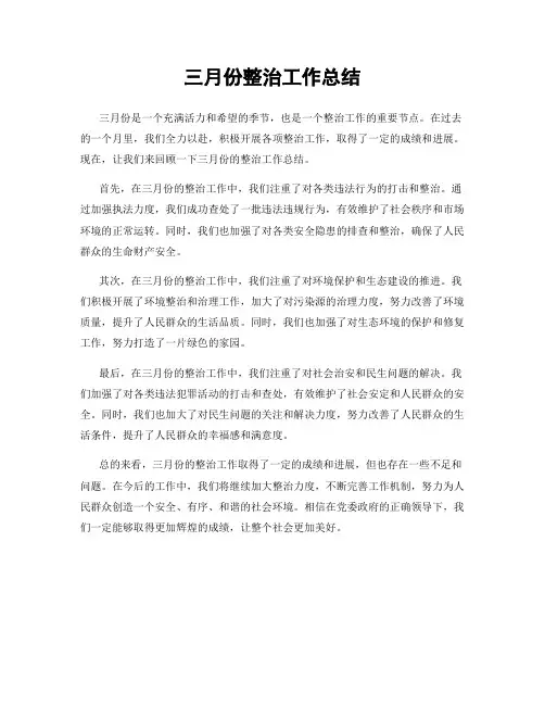 三月份整治工作总结