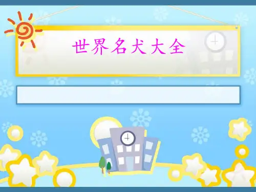 世界名犬大全.ppt