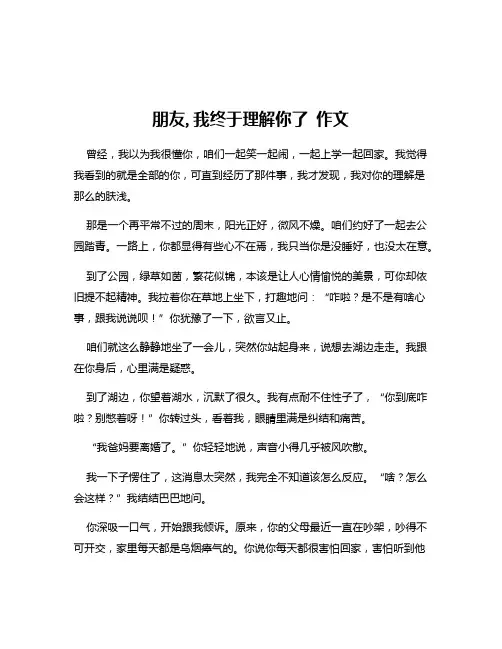朋友,我终于理解你了 作文