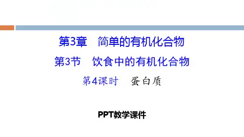 蛋白质(化学)精品课件