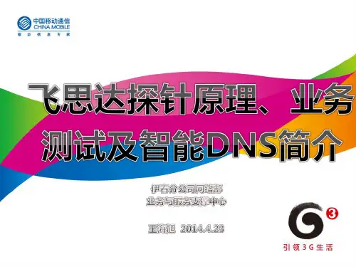 飞思达探针原理、业务测试及智能DNS