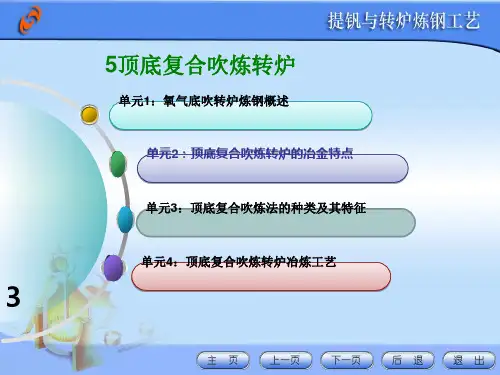 顶底复合吹炼转炉冶炼工艺.ppt
