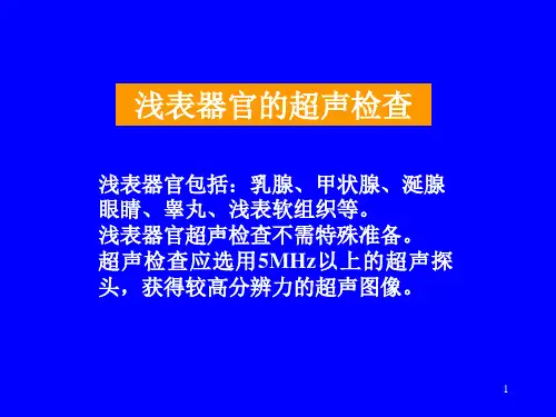 浅表器官的超声检查ppt课件
