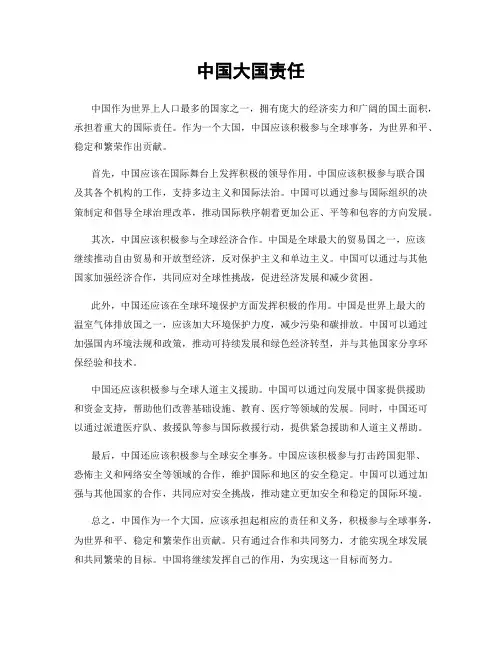 中国大国责任