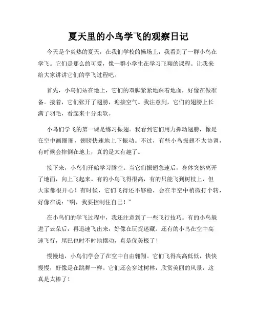 小学三年级作文夏天里的小鸟学飞的观察日记