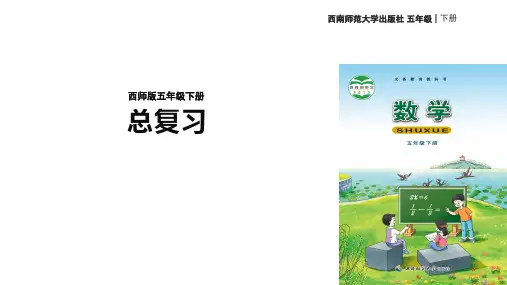 小学数学五年级下册(西师大版)总复习课件