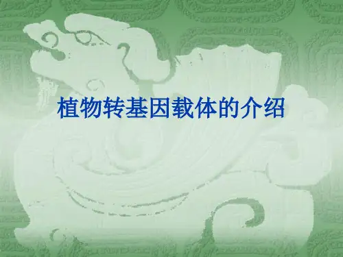 实验一附录_植物转基因载体的介绍