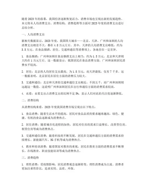 年度总结消费支出