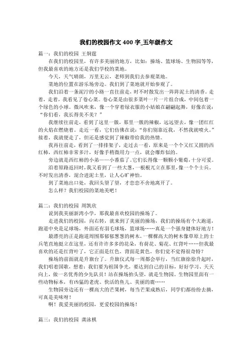 我们的校园作文400字_五年级作文
