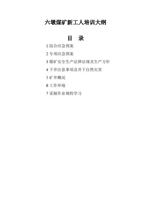 煤矿新工人 培训大纲